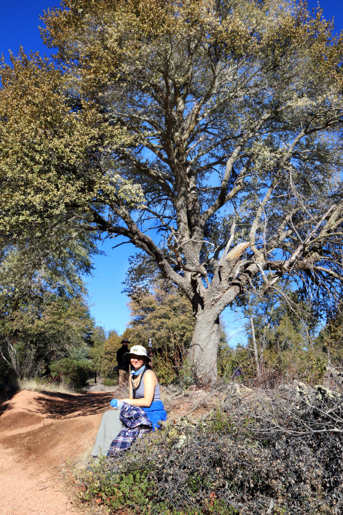 Brooke under tree on Monument Peak Loop trail